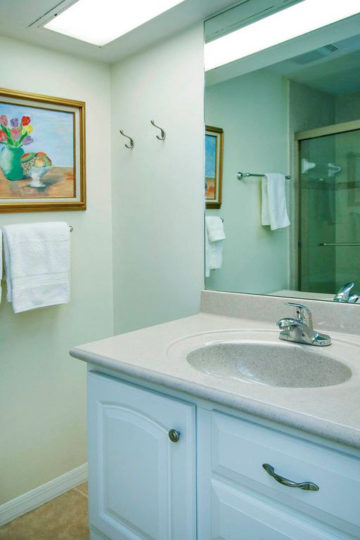 Master Bathroom Vanity